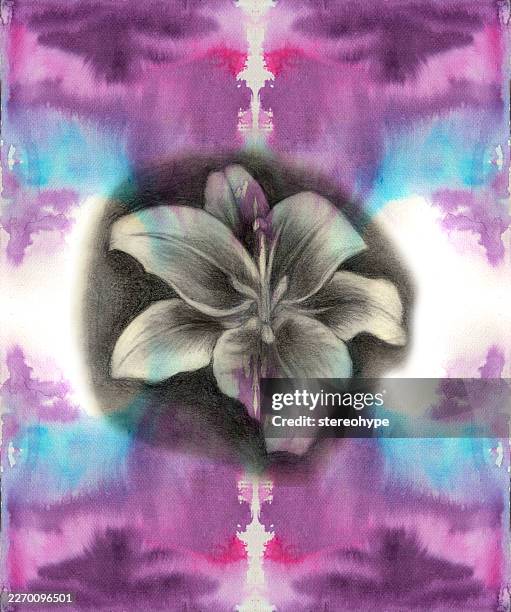 stargazer lily - breaking through clouds stock illustrations
