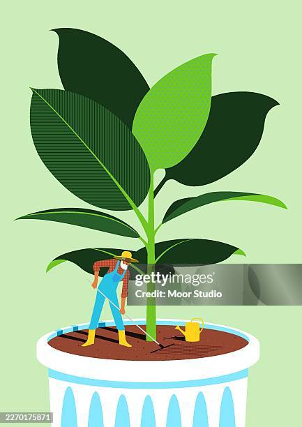 bildbanksillustrationer, clip art samt tecknat material och ikoner med gardener growing giznt rubber plant concept illustration - plantera
