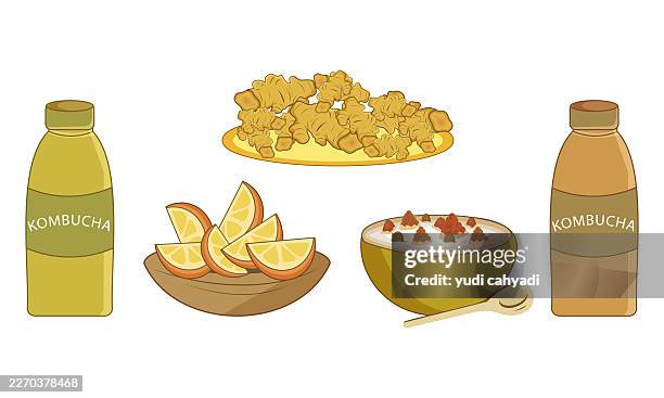 illustrations, cliparts, dessins animés et icônes de illustration vectorielle des aliments probiotiques et pour la santé intestinale : kombucha, gingembre et yaourt - coupe à fruits