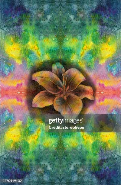 stargazer lily in stardust - breaking through clouds stock illustrations