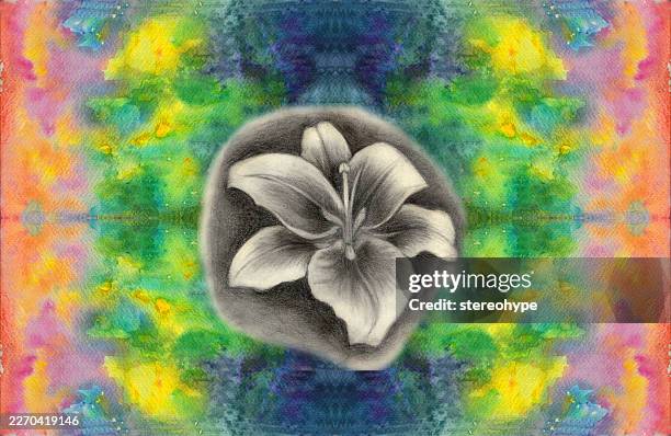 stargazer lily in stardust - breaking through clouds stock illustrations