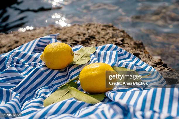 fresh lemons on striped blue and white fabric in sunlight on the stone beach in summer. sea water background. - albero di limone foto e immagini stock