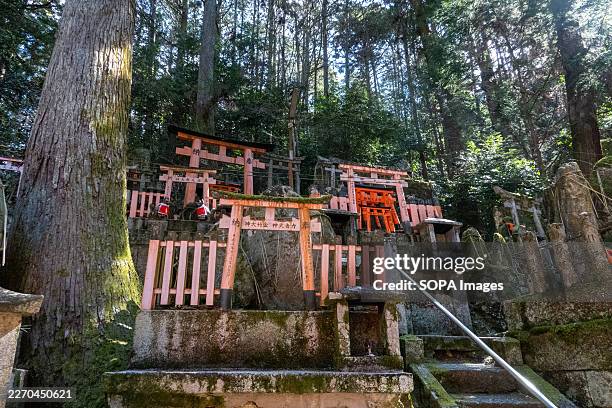 Small Shinto shrine structures and miniature torii gates line a forested path on the grounds of Fushimi Inari Taisha in Kyoto, Japan, part of the...