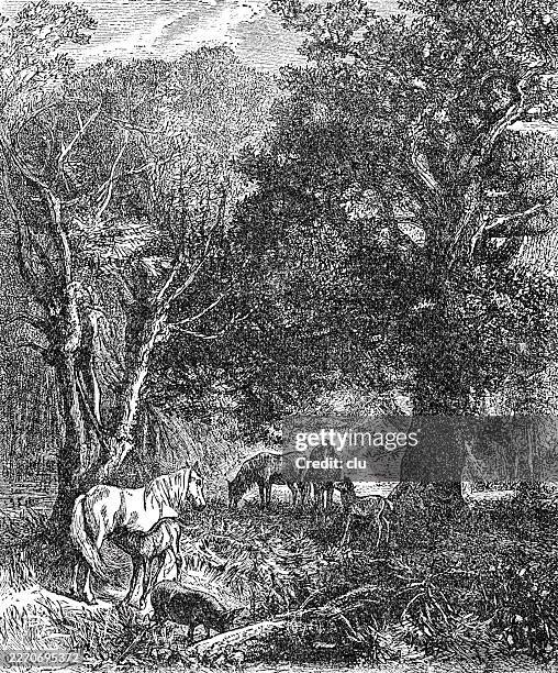 in the new forest, england — ponies rest beneath ancient oaks while filtered light reveals a quiet, almost hidden world of untamed woodland life - new forest national park stock illustrations