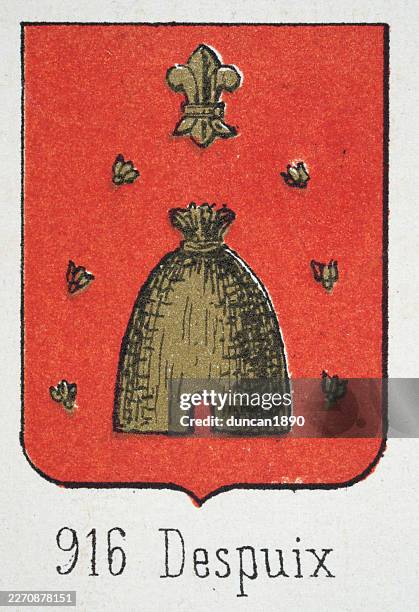 medieval heraldry, coat of arms, shield with, gold, fleur-de-lis, over, bee, hive, red, spanish, vintage illustration - bee pattern stock illustrations