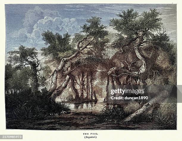 pool surrounded by trees, after the 17th century painting by jacob van ruisdael, vintage illustration 19th century - fallen tree stock illustrations