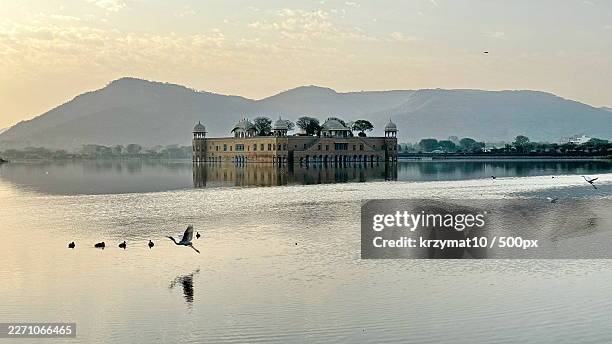 jal mahal palace in man sagar lake with aravalli mountains and birds flying at sunrise in jaipur, rajasthan, india,rajasthan,india - jal mahal stock pictures, royalty-free photos & images