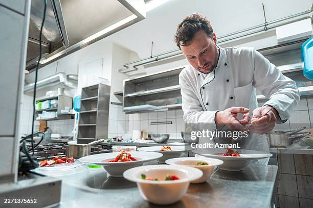 male chef plating gourmet dishes in a professional kitchen with modern stainless steel equipment - chef plating stock pictures, royalty-free photos & images