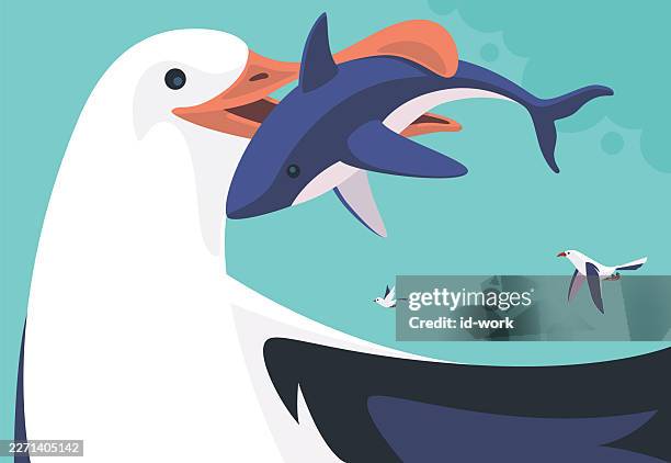 seagull catching shark - shark attack stock illustrations