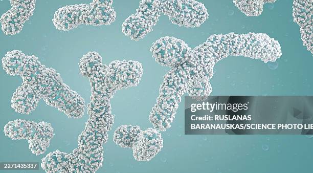 bifidobacterium beneficial bacteria, illustration - microbiome stock illustrations