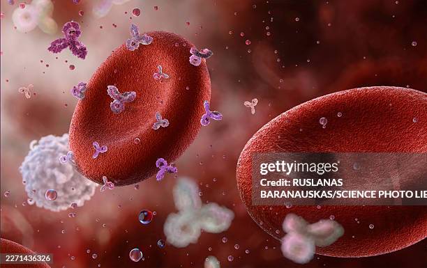 antibodies in bloodstream, illustration - immunotherapy stock illustrations