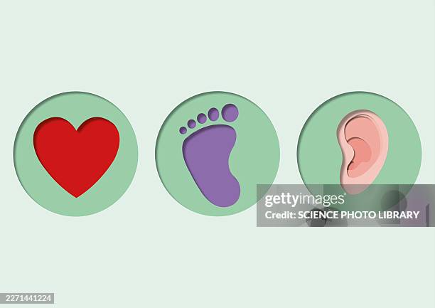 newborn testing, conceptual illustration - standardized testing stock illustrations