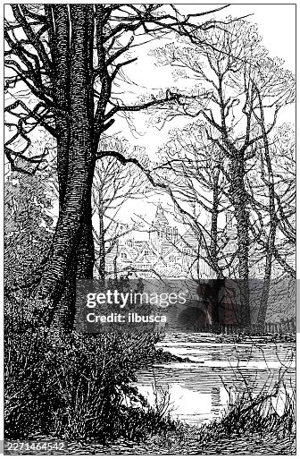 Leafless Trees Leafless Trees