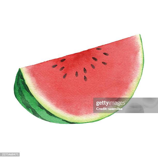 watercolor watermelon slice on white background - watermelon slice stock illustrations