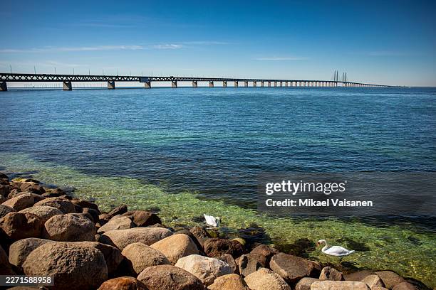 view of the öresund bridge from the swedish side of the öresund strait - malmo stock pictures, royalty-free photos & images