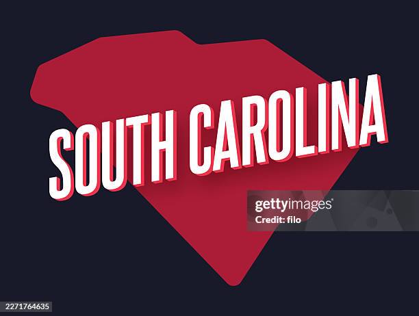 south carolina - charleston sc stock illustrations
