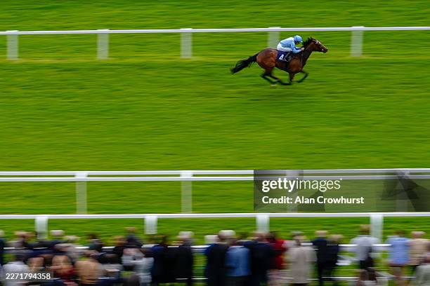 William Buick riding I'm The One win The Dreweatts Maiden Fillies' Stakes at Newbury Racecourse on April 17, 2026 in Newbury, England.