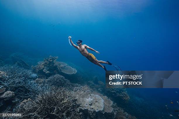 freediver swimming above coral reef underwater - lagon photos et images de collection