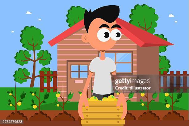 boy packing lemons - child making lemonade stock illustrations