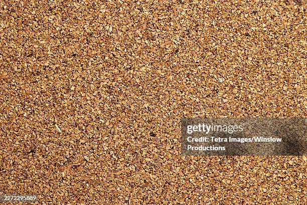 close-up of blank cork board - notice board stock pictures, royalty-free photos & images