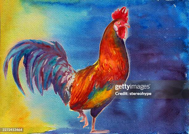 rooster walk - free range stock illustrations