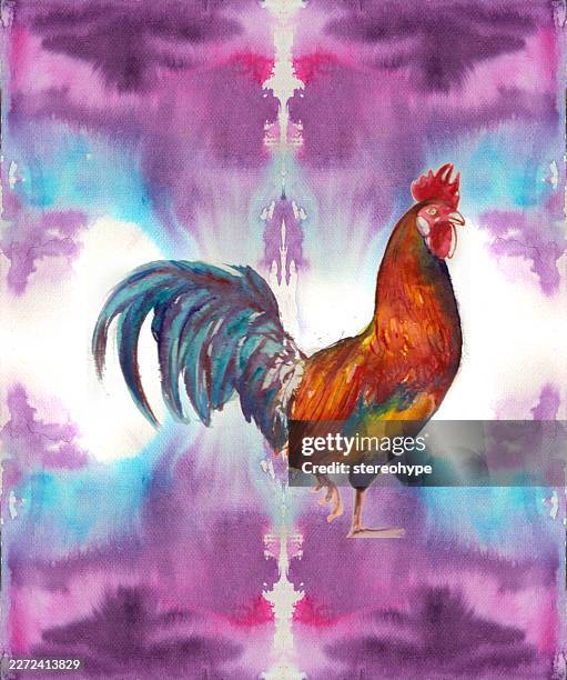 rooster walk - free range stock illustrations