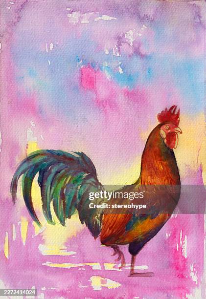 rooster walk - free range stock illustrations