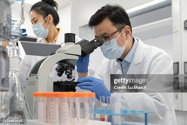 asian scientists use microscopes to analyze experimental samples in the laboratory - man microscope stock pictures, royalty-free photos & images