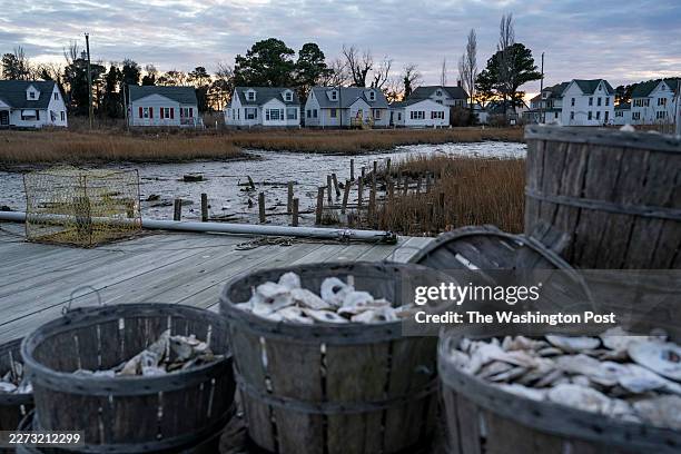 The sun sets over Ewell, Smith Island, MD on January 16, 2026. Terry Laird runs the Smith Island Ferry taking locals and travelers between Crisfield...