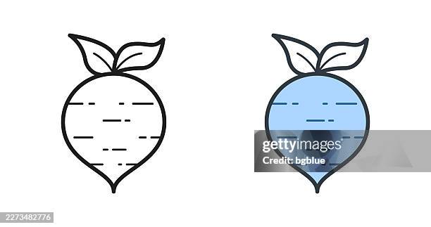 beetroot. icons for design - editable stroke icon - beetroot stock illustrations