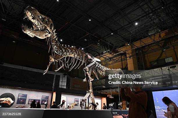 People view skeletons of Tyrannosaurus rex "Rocky" during a special exhibition for the King of Dinosaurs at the Natural History Museum of China on...