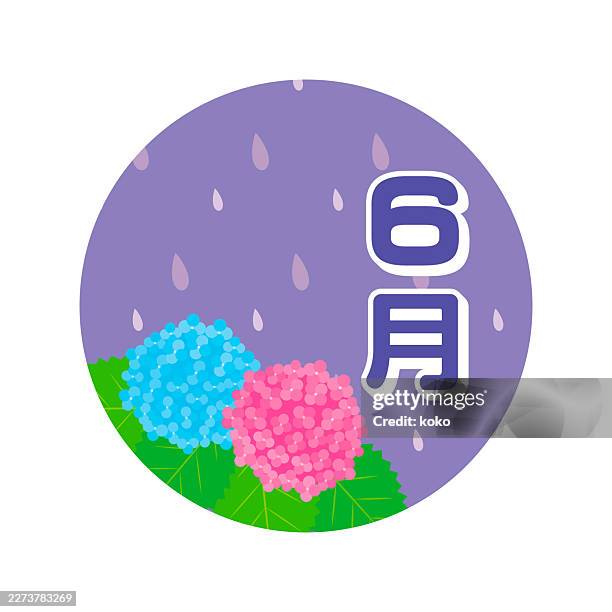 icon, june. hydrangea, raindrops. - blue hydrangea stock illustrations