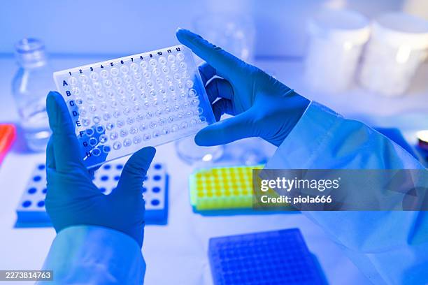 scientist holding microplate for dna molecular analysis in laboratory - microplate stock pictures, royalty-free photos & images