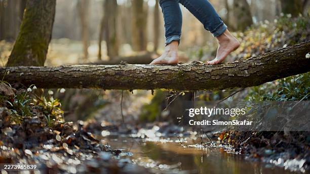 barefoot female balancing on fallen tree trunk over forest stream during nature walk - boomstam stockfoto's en -beelden