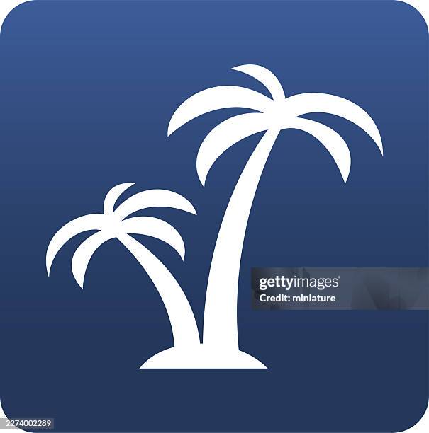 palm tree icons - tree shadow white stock illustrations