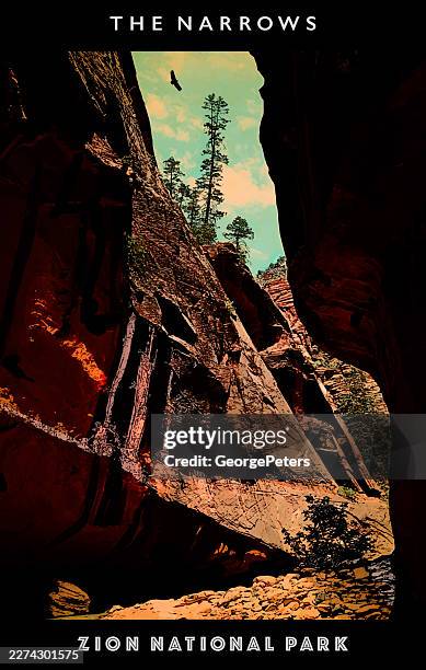 retro style postcard of the narrows at zion national park - zion narrows stock illustrations