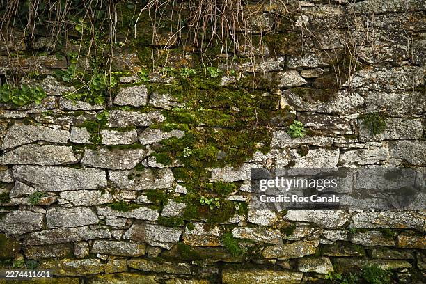 ancient stone wall texture covered with natural moss and green plants - rock formation stock pictures, royalty-free photos & images