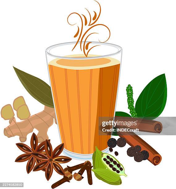 masala chai indian chai or tea glass - nutmeg stock illustrations