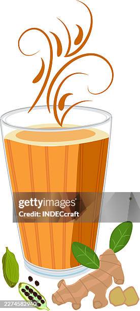 masala chai indian chai or tea glass - nutmeg stock illustrations