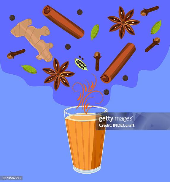 masala chai indian chai or tea glass - nutmeg stock illustrations
