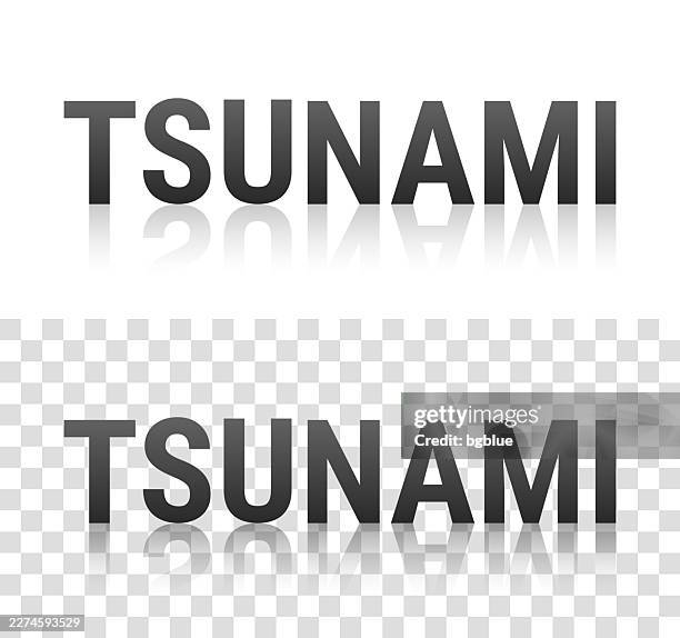 tsunami - text with reflection on transparent background - water reflection logo stock illustrations