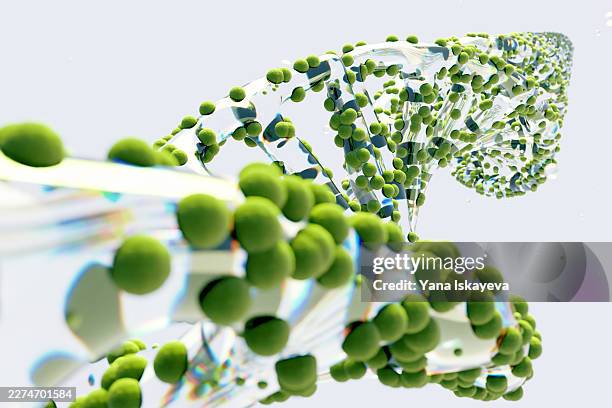 green dna helix symbolizing biotechnology and sustainable genetic innovation - biodegradable stock pictures, royalty-free photos & images
