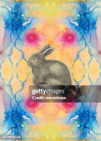 Sketchy rabbit Sketchy rabbit