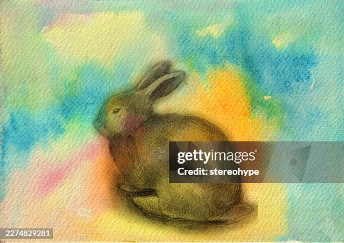 Sketchy rabbit Sketchy rabbit