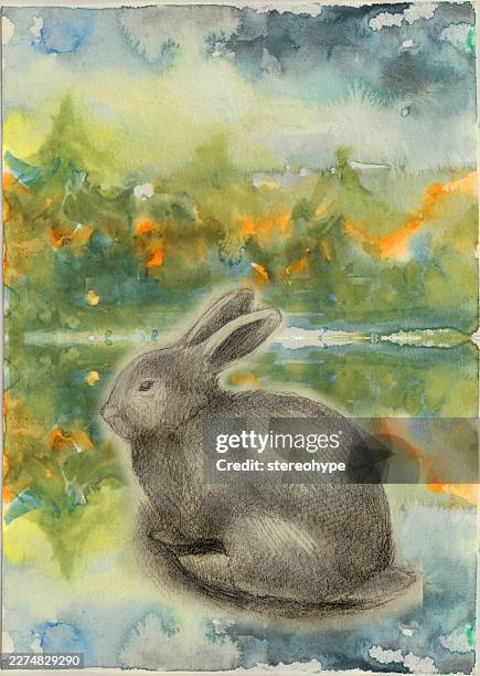 skizzenhafte rabbit - hase futter stock-grafiken, -clipart, -cartoons und -symbole