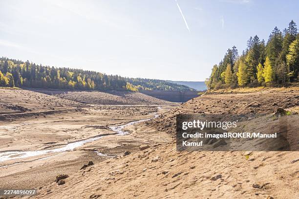 sunny landscape with dry river and wooded hills, emptied schwarzenbach dam, forbach, black forest, germany - trockenlandschaft stock-fotos und bilder