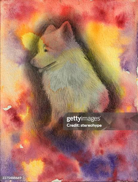 happy fluffy dog - dog scratching stock illustrations