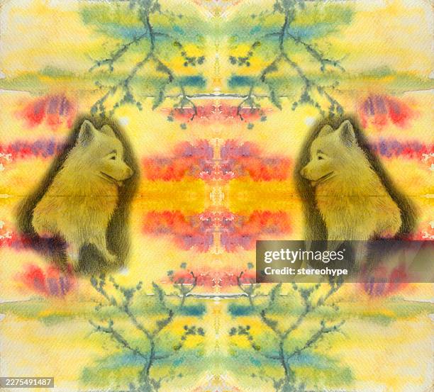 fluffy dog - dog scratching stock illustrations