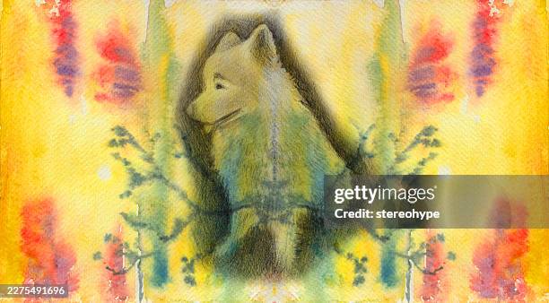 fluffy dog - dog scratching stock illustrations