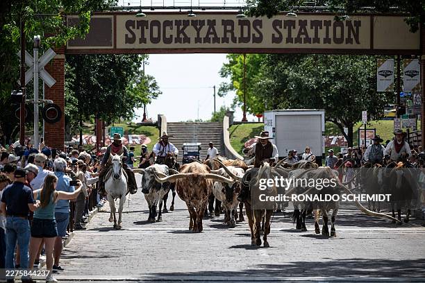 Cowhands lead a herd of Texas Longhorn cattle during the Fort Worth Herd Cattle Drive through East Exchange Avenue at the Stockyards in Fort Worth,...